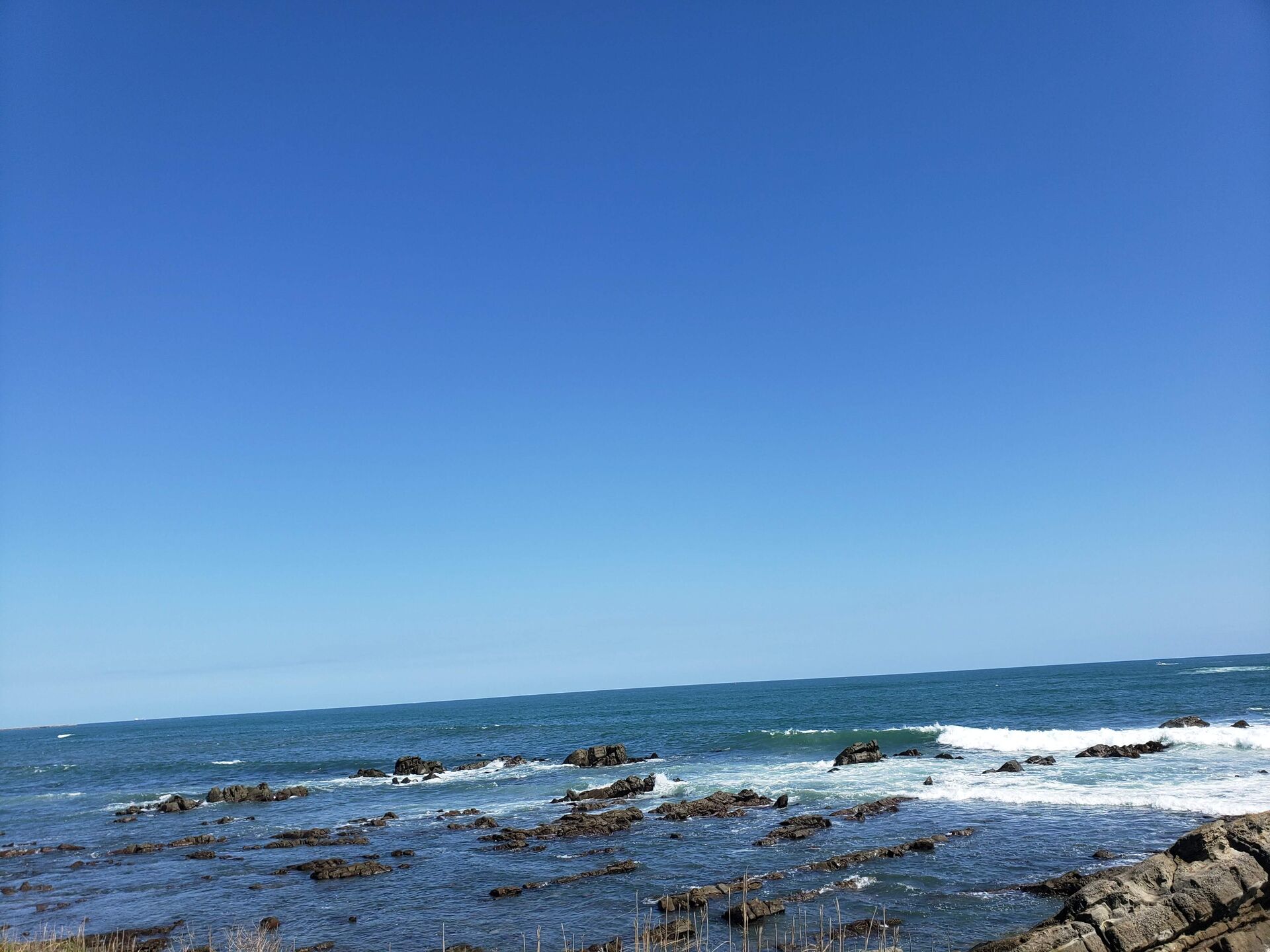 海