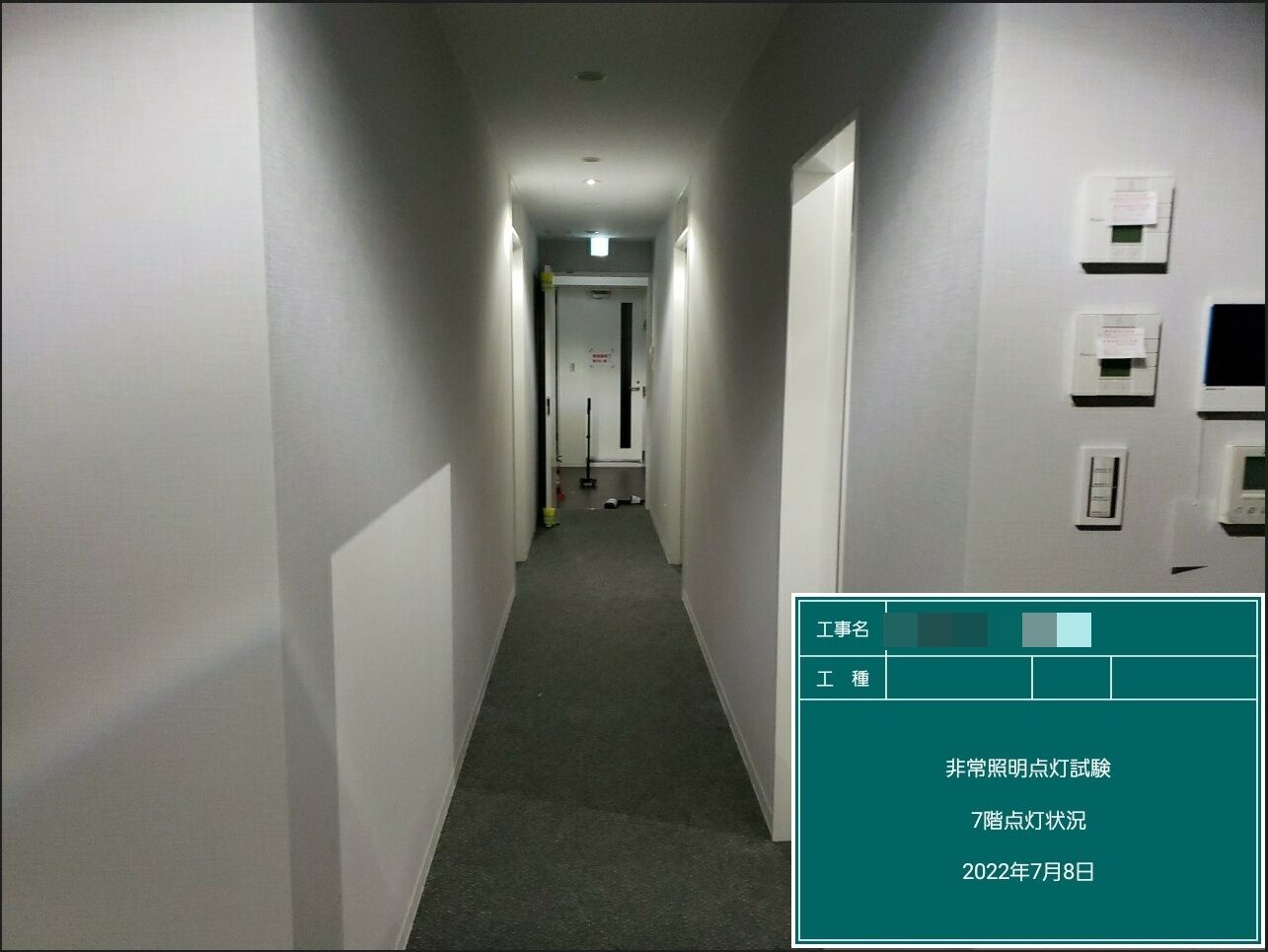 照度測定試験
