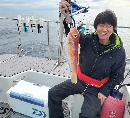 アマダイゲット