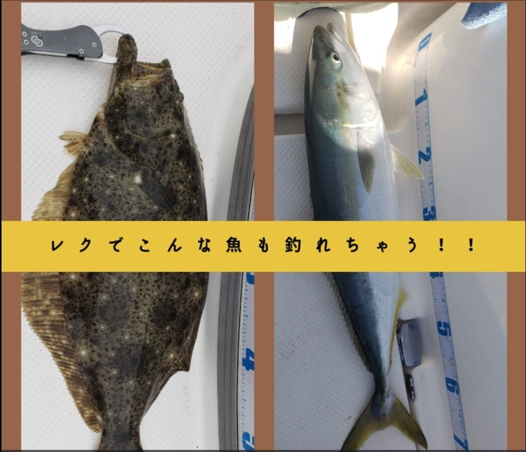 レク